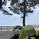 내손옥 | 자릿세내고 시간제약없이 몽산포에서 실컷 무료해루질하고 실컷 먹고온 후기|추가요금 X (안보면 내손해)