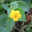 진동리의 아침 이미지