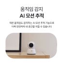 네이버 스마트스토어 (초급)(야간) | 헤이홈 홈캠 Pro+ 5MP 리뷰 | 스마트폰 CCTV 홈카메라로 가족과 반려동물 지키는 법