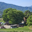 죽장 마을회관 이미지