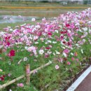 기초 중국어회화 이미지