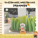 신체의 열매 | (육아 기록) 오랜만에 박물관을 가볼까? 아기와 방문한 국립농업박물관 전시, 체험 후기