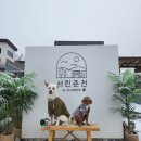 서린춘천