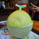 설빙충남내포