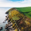 더오케이치과의원 이미지