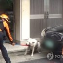 화들짝