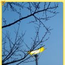 갯벌생태 체험장 이미지