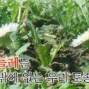 영농조합법인토종식품