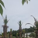 산달펜션 이미지