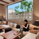 신봉동 | 마지모우 신봉동 대형카페 후기