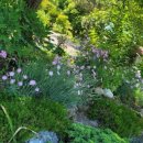 (주)힐링팜 이미지