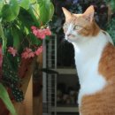 사랑지기 이미지