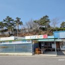 중매인43번