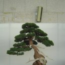 지지명품 이미지