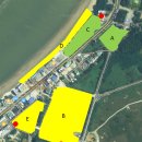 방아머리공원(솔밭) 이미지