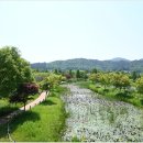 생태습지 이미지