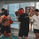 팀위너 복싱핏 이미지