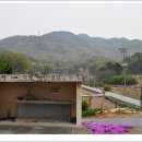 붕어마을 이미지