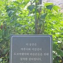 여강길(6코스 왕터쌀길) 이미지