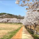 STX 칸 공인중개사사무소 이미지