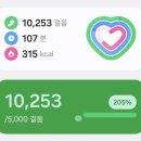 오대산식당(본점) | 1박2일 강원도 양양 &amp; 강릉 &amp; 평창 부모님 결혼기념일 효도 여행 [ 2025 / 11 / 23 ~ 2025 / 11 / 24 ]