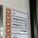 철트레이닝 | 슬릭부스트 평택비전점 팀트레이닝 운동후기 | 겨울철 실내운동 추천