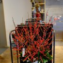 테라브런치 이미지