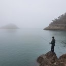 무녀도오토캠핑장 이미지