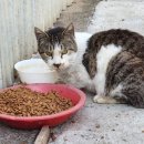 다함동물병원 이미지