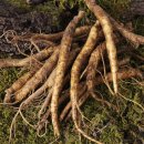 팔도농장 이미지