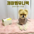 유니텍 | [제이엠유니텍] 강아지 사료토핑 추천 사료 안 먹을 때 입맛 살리는 팔레트 파우더 후기