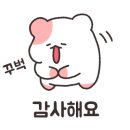 해돋이 호스텔 이미지