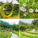 10월4일(토요일) 12시30분 자유로드라이브/헤이리 프리마켓 산책/율곡수목원/ 옹기꽃게장 무한리필/ 벙커힐 베이커리카페 이미지
