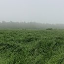 더조아짐 이중섭거리점 헬스&PT 이미지