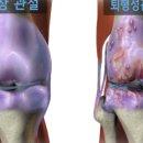 리두컴퍼니 이미지