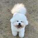 몽몽정원 이미지