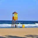 풍성한횟집 이미지