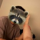 34 | 임신후기 34주-38주 막달 증상