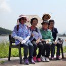 국화저수지 이미지