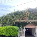 산기슭목장 이미지