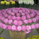 은혜중학교 이미지