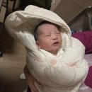 복땡이 | [4박5일 제왕병원일기] 제왕절개 비추천 후기 및 복땡이 면회시간