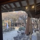 인사동전통찻집 | [인사동/안국] 분위기에 취하러 갔다가 차 맛에 놀란 인사동 전통찻집 전통다원 내돈내산 솔직후기