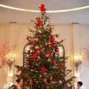 아모레플라워 이미지