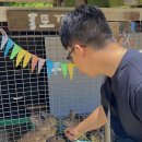 언덕 | 남해 여행 코스 추천! 독일마을 근처 양마르뜨언덕 내돈내산 후기 🐑