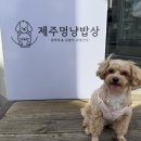제주멍냥밥상 이미지