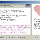 버디버디A 이미지