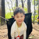 해오름 유아숲체험원 Daum카페