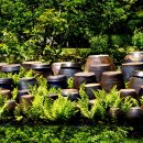 회현농장 이미지