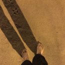 사파정병운동장 이미지